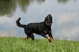 BEAUCERON 602